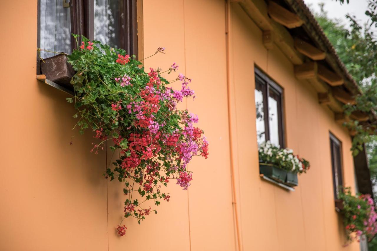 Apartamento Kuca Za Odmor Jagnjic Josipdol Exterior foto